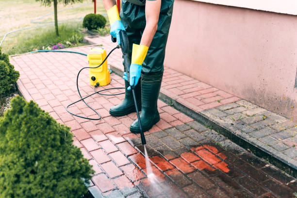 Best Fence Cleaning  in Olean, NY