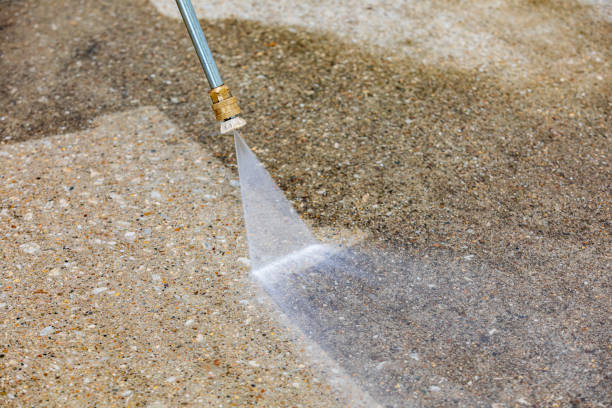 Best Spring Cleaning  in Olean, NY