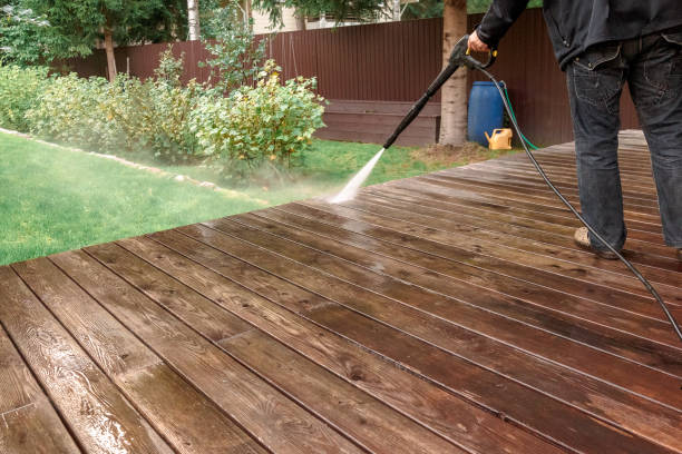 Best House Exterior Washing  in Olean, NY