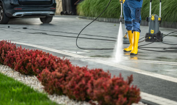 Best Roof Washing  in Olean, NY